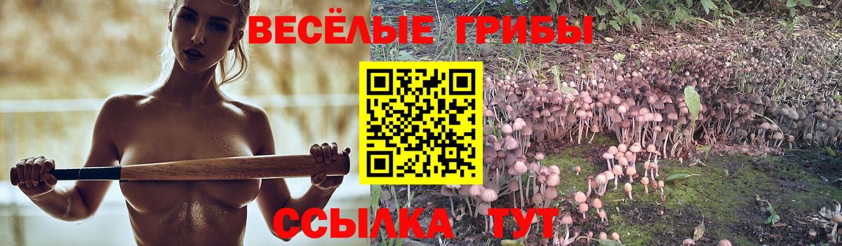 Галлюциногенные грибы MAGIC MUSHROOMS Шахты