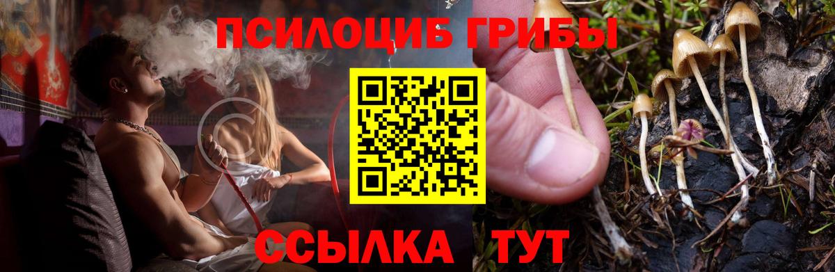 Шахты  Галлюциногенные грибы мухоморы  Вход с VPN 